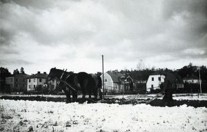 Jordbruk på ängen där brandstationen nu ligger. Ca 1940.