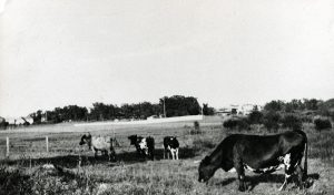 Ekensbergs hage. Den låg vid dagens brandstationstomt och sträckte ut sig i omgivningarna innan bebyggelsen tog fart i mitten av 1950-talet.